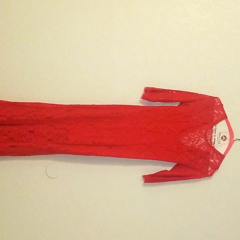 Lulus's Evening Gown